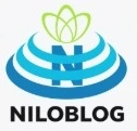 CHICAGOBULLS.NILOBLOG.COM